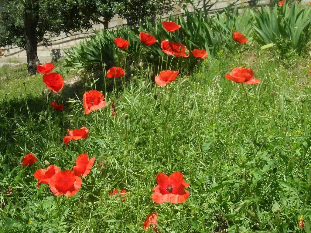 B&B Villa La Rocca Альгеро Отель типа 